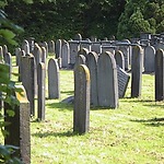 Meppel joodse begraafplaats