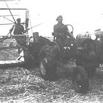 Maaimachine en tractor van H. Berkepies te Nooitgedacht