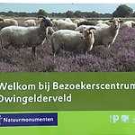 Dwingelderveld