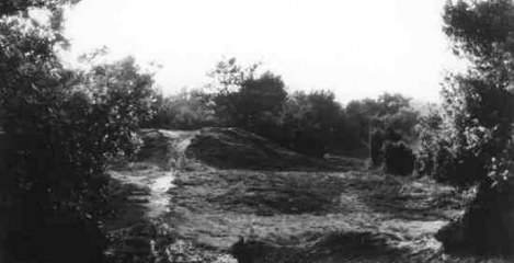 Kampsheide