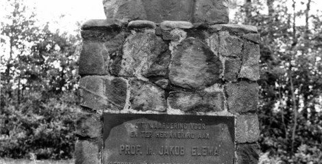 Jakob Elema