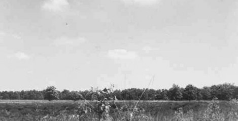 Huis ter Heide