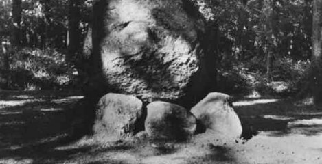 Holt