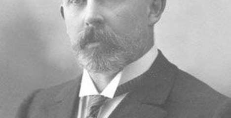 Gustaaf Willem van der Feltz