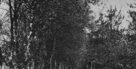 Emmerdennen