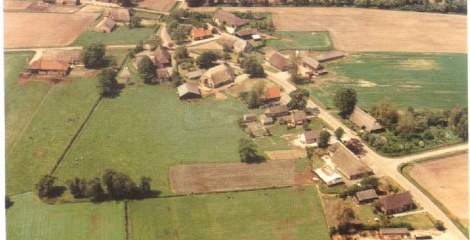 Drijber