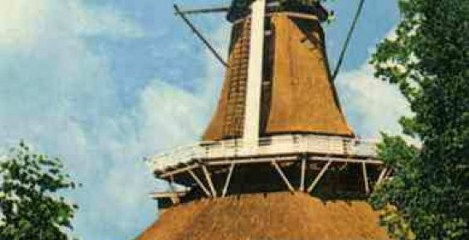 De Wijk
