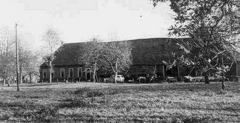 De Horst