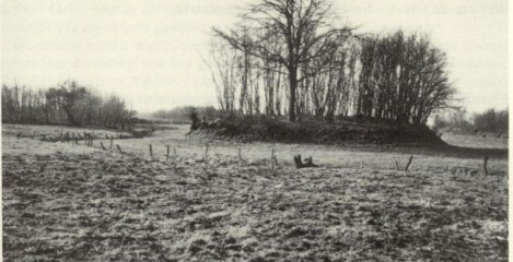 Borgbarchien