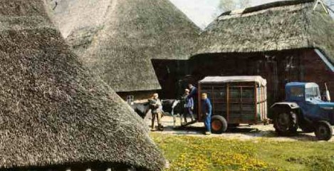 Boerderijen