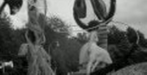 Bloemencorso Eelde