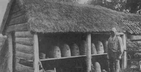 Bijen(houderij)