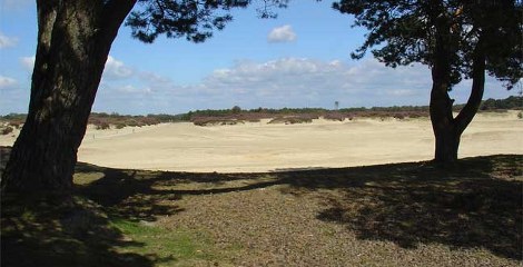 Balloërveld
