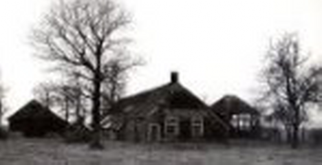Armweide