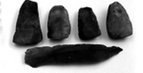Aktieve Praktijk Archeologie Nederland