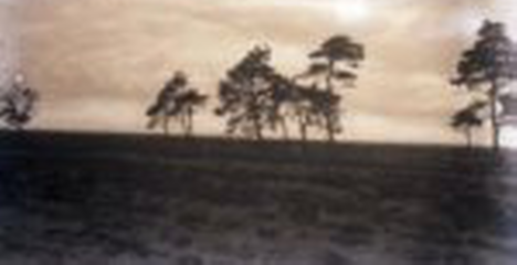 Agrarisch natuurbeheer