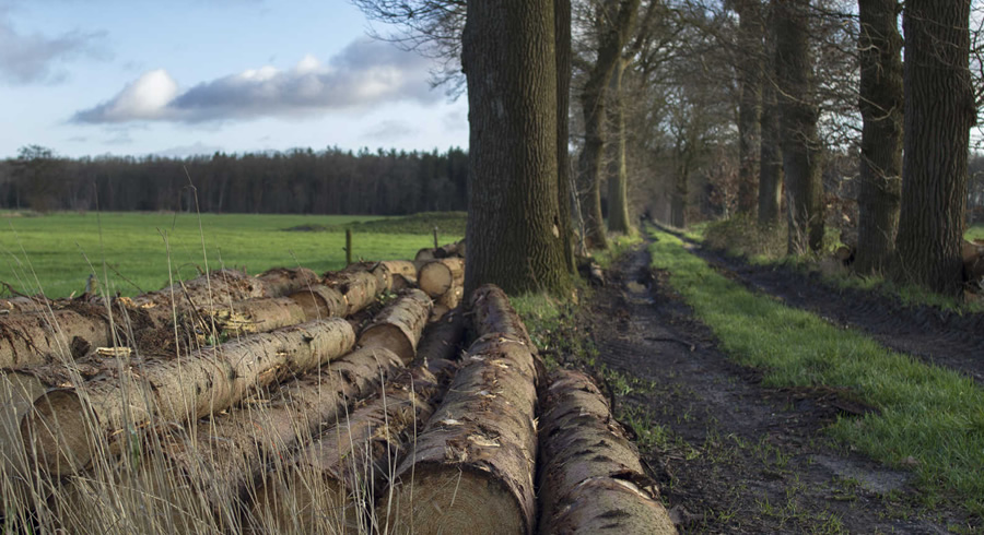 Van Gogh - omgeving Hoogeveen