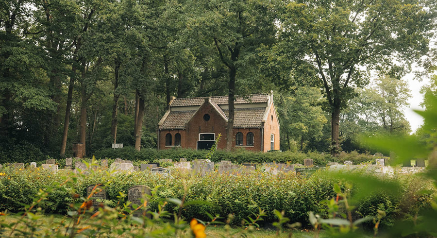 Van Gogh - kerkhof