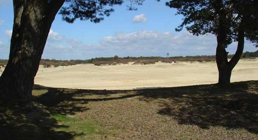 Ballooërveld