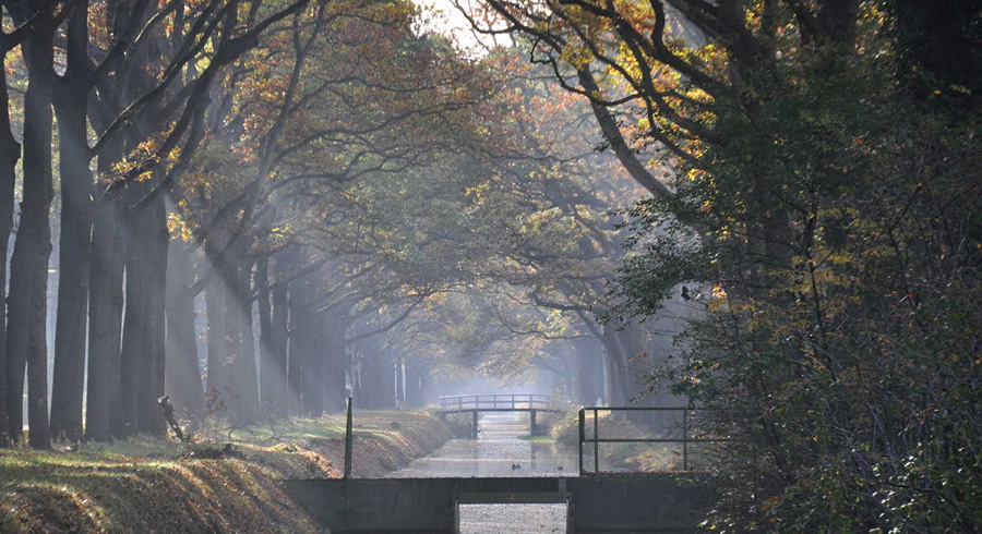 Veenhuizen