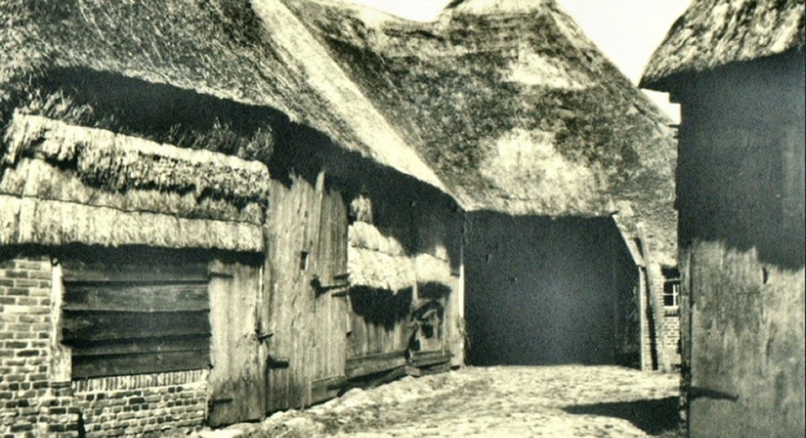 Orvelte
