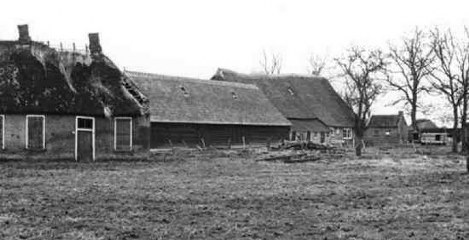 Zwiggelte