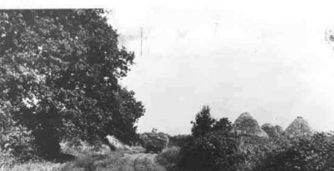 Yde