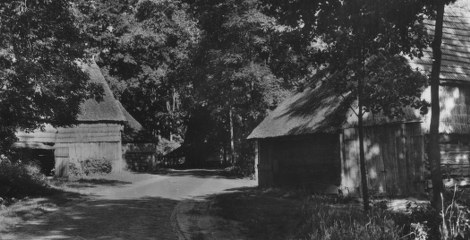 Westerse Bos