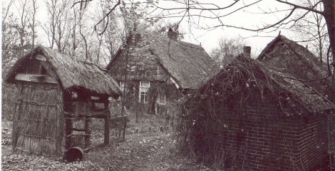Weiteveen