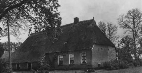 Wachtum
