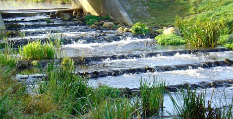 Vistrappen