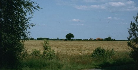 Veldnamen