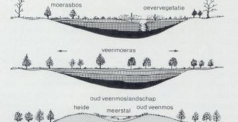 Veenvorming