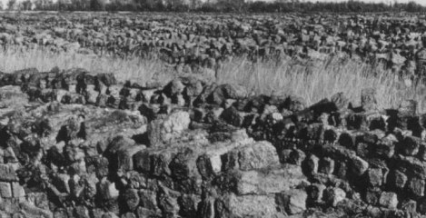 Turfgraven