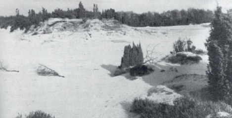 Stuifzand