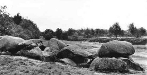 Steenbergen