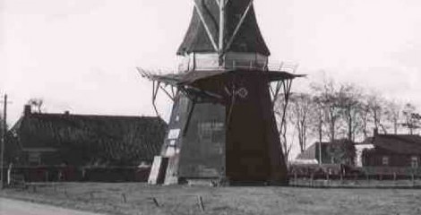 Spijkerboor