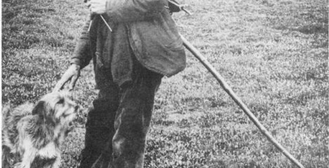 Scheper