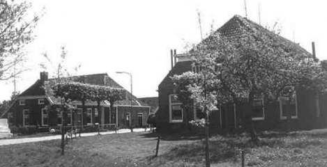 Lieveren