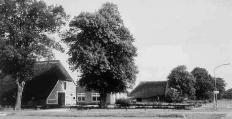 Laaghalen