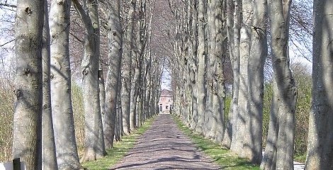 Kolderveen